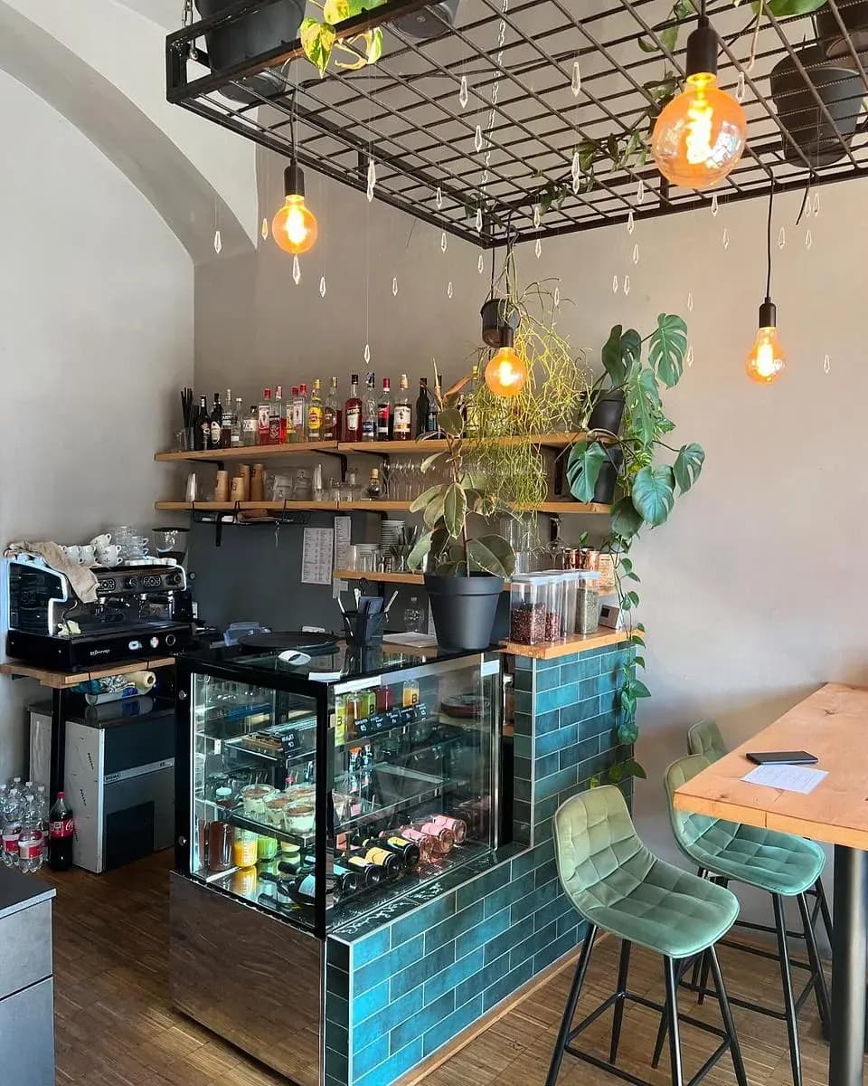 BOTANIK BISTRO