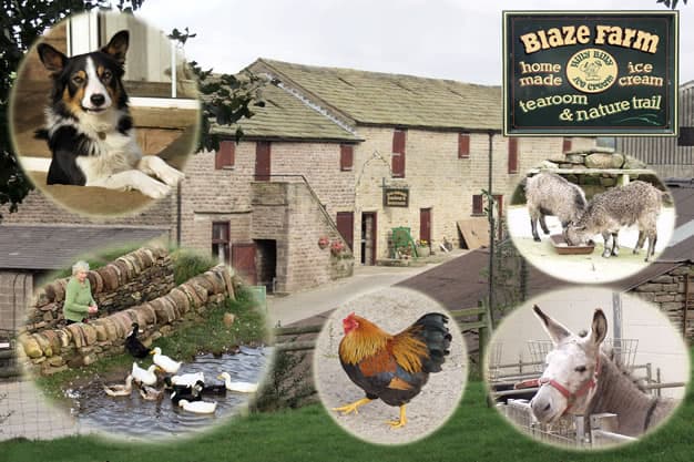 Blaze Farm