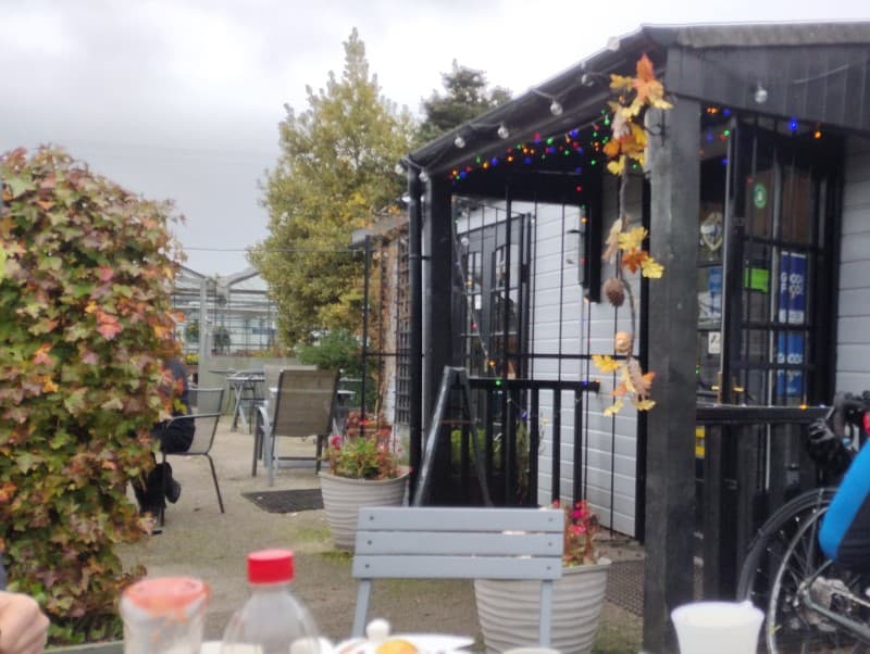 Bloom Coffee Lounge