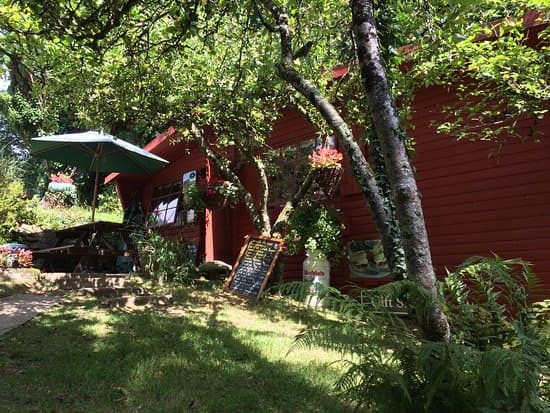 Camel Trail Tea Garden