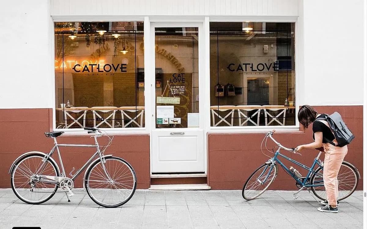 Catlove Coffee