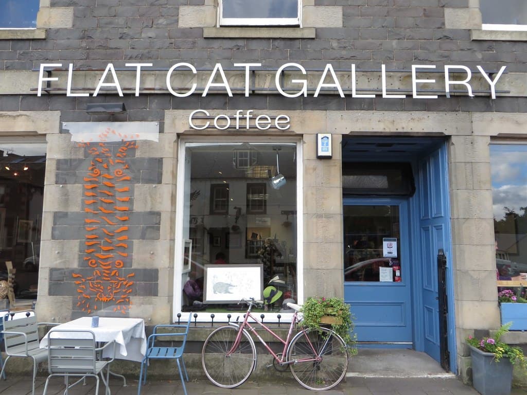 Flat Cat Cafe & Gallery