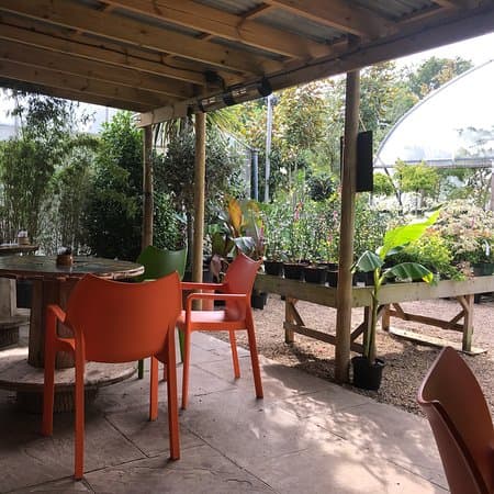 Jungle Tearoom