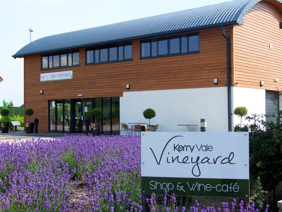 Kerry Vale Vineyard