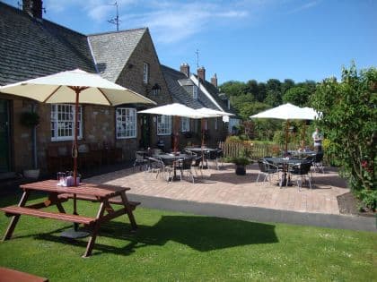 Lavender Tea Room