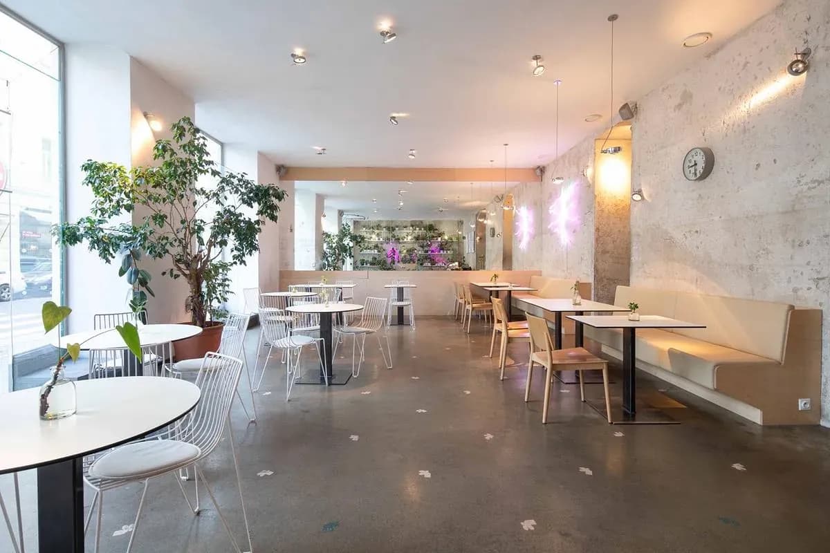 Mistral café