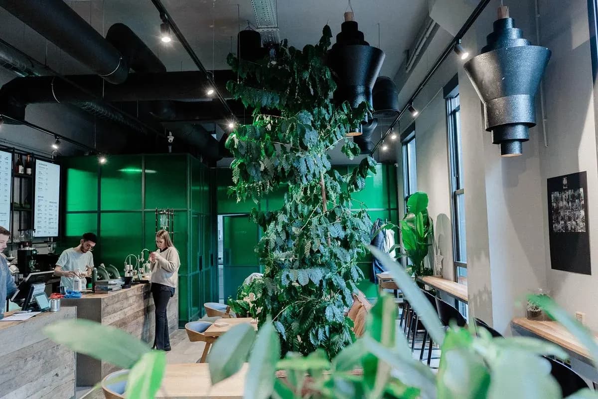Olivo Coffee Culture