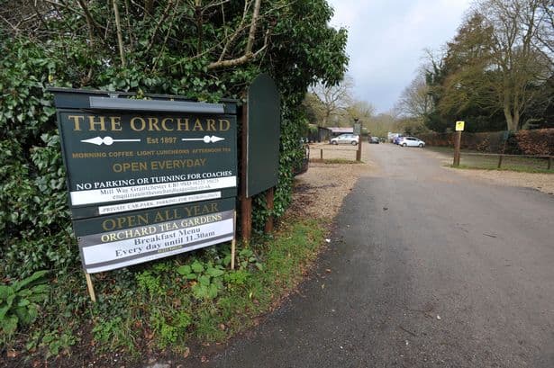 Orchard Tea Garden