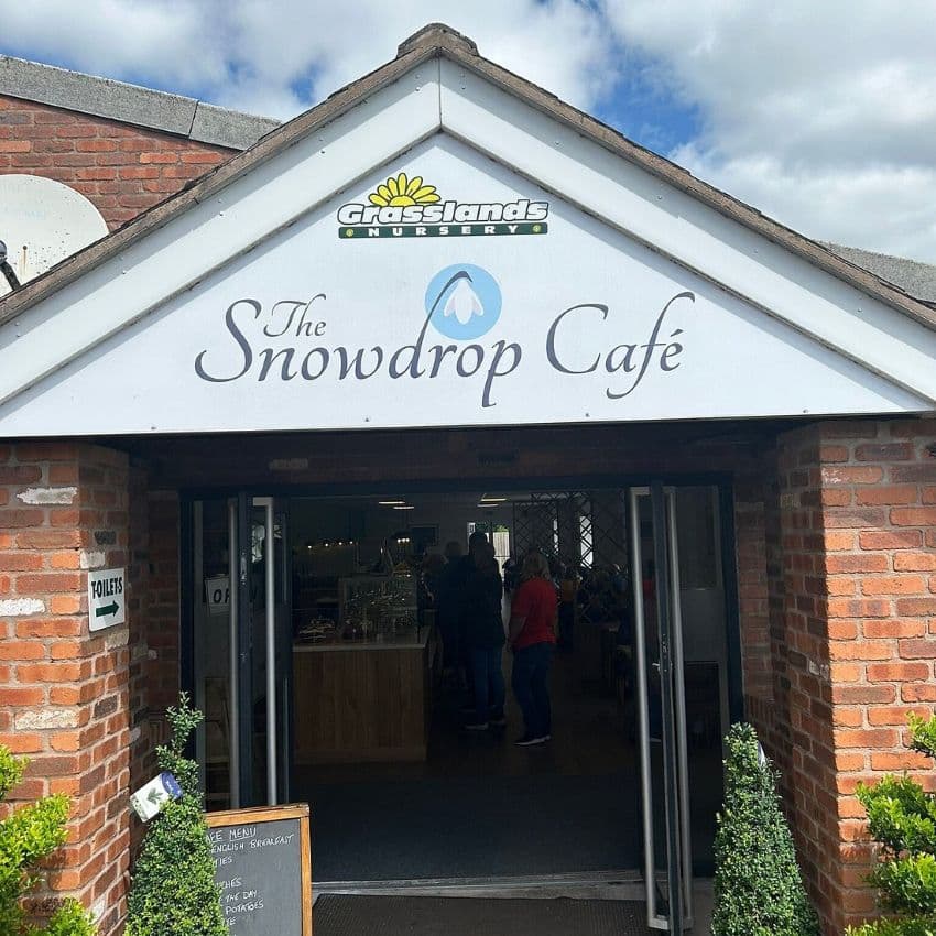 Snowdrop Cafe