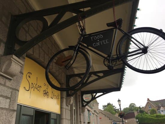 Spider on a Bicycle