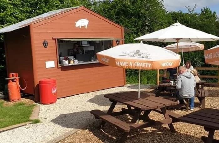The Pig Place