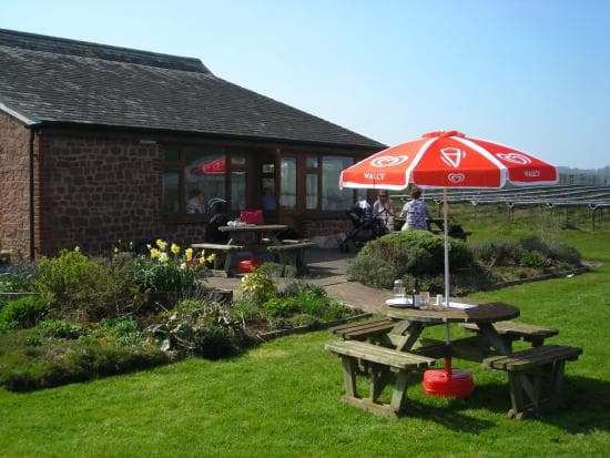 The Swans Neck Cafe
