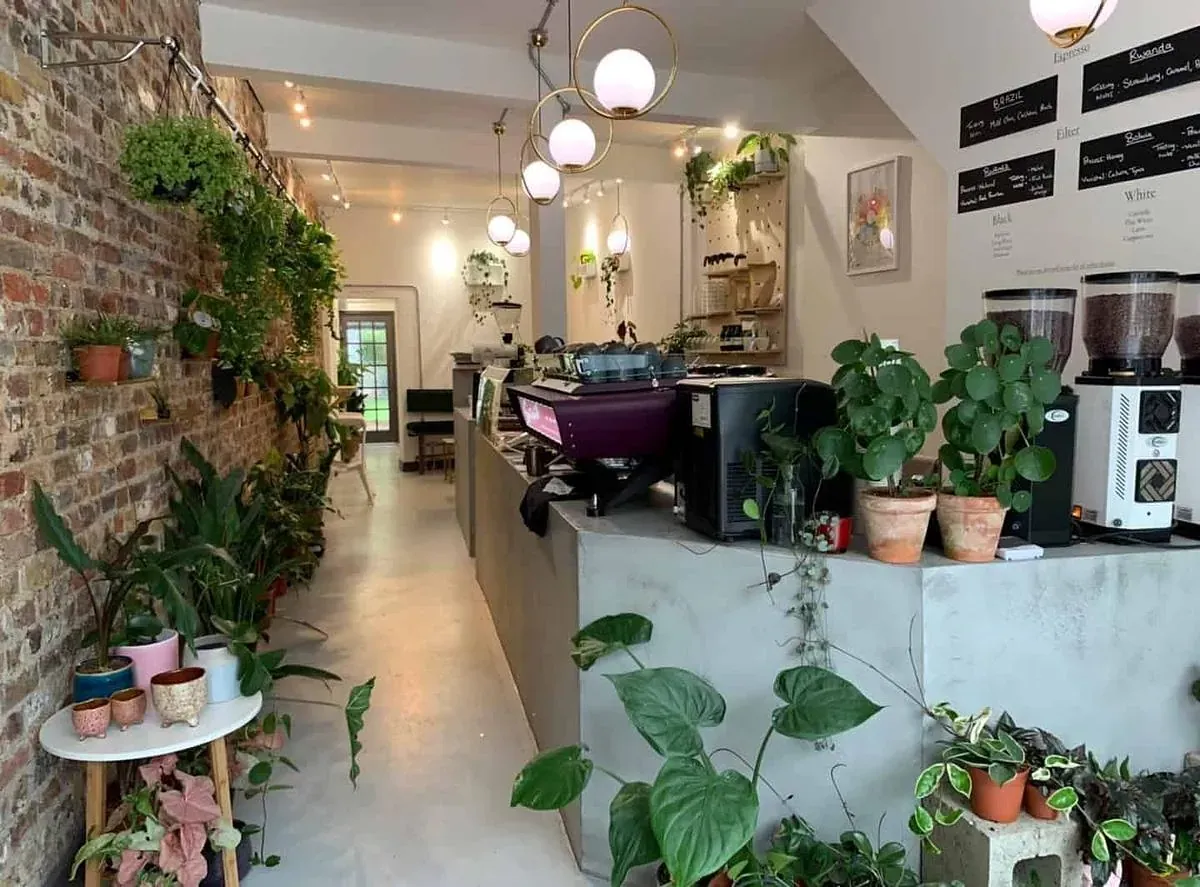 Urban Botanica