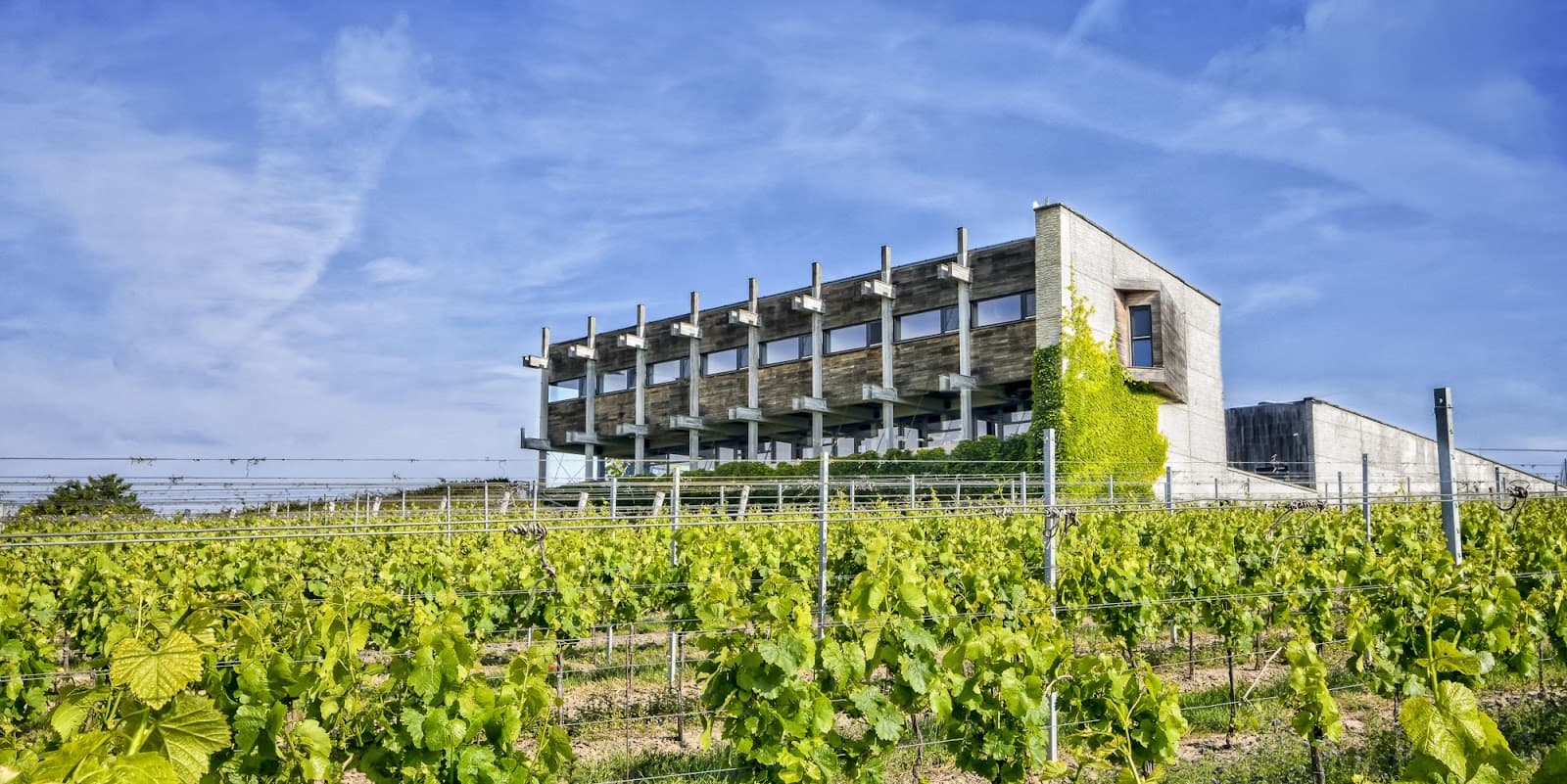Vinařství Gotberg
