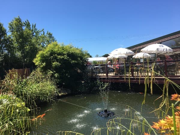Waterside Cafe