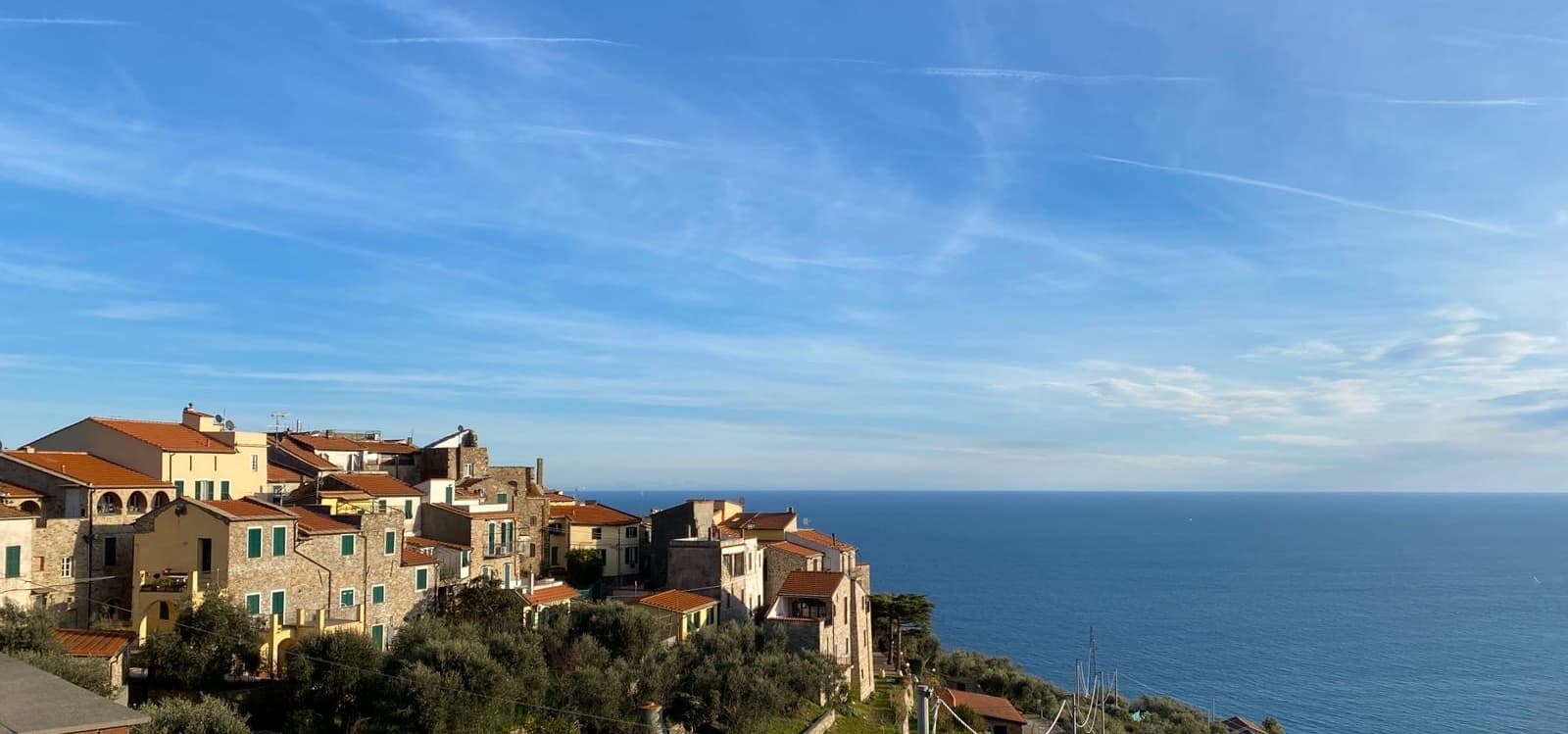 Cipressa