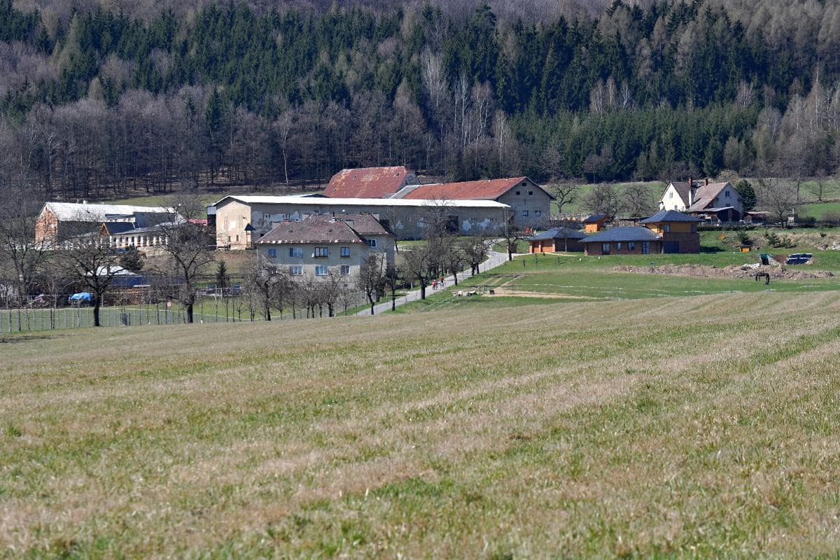 Bludov