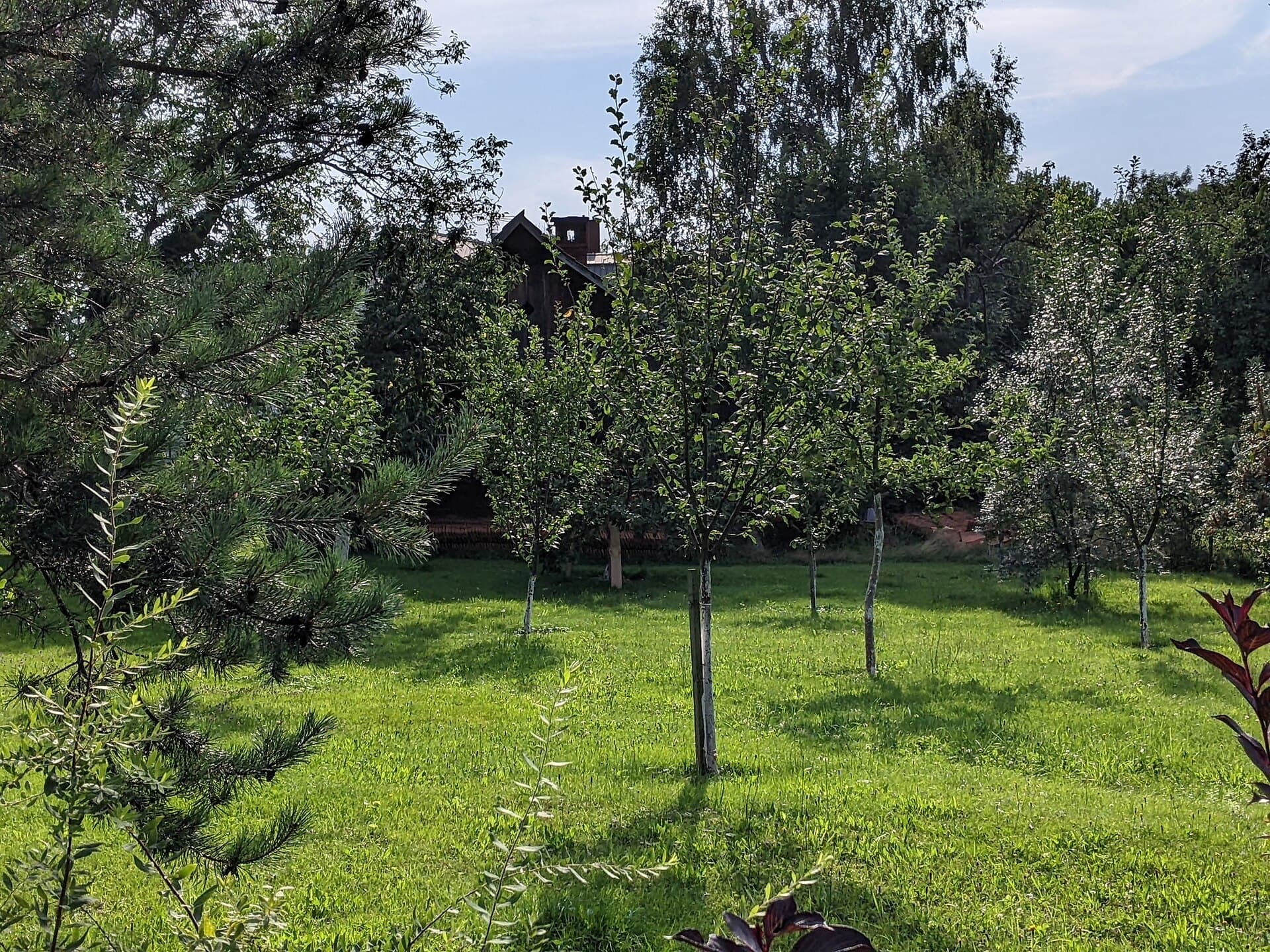 Komorní Lhotka