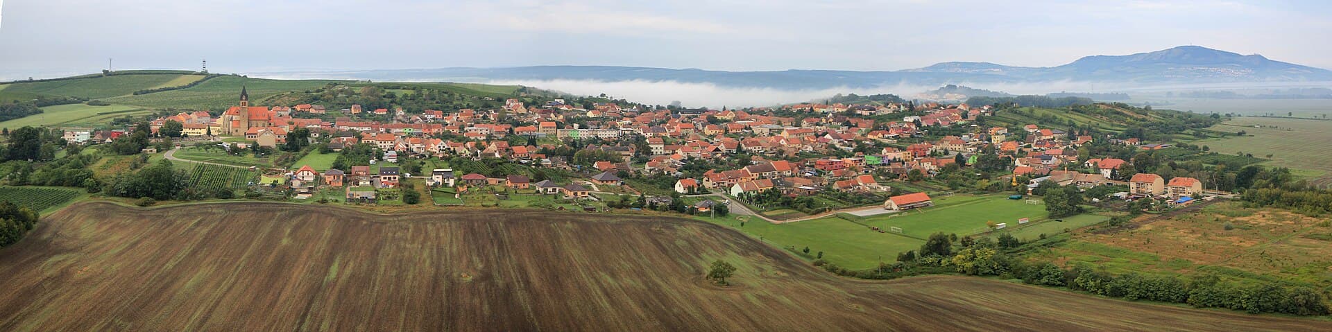 Rakvice