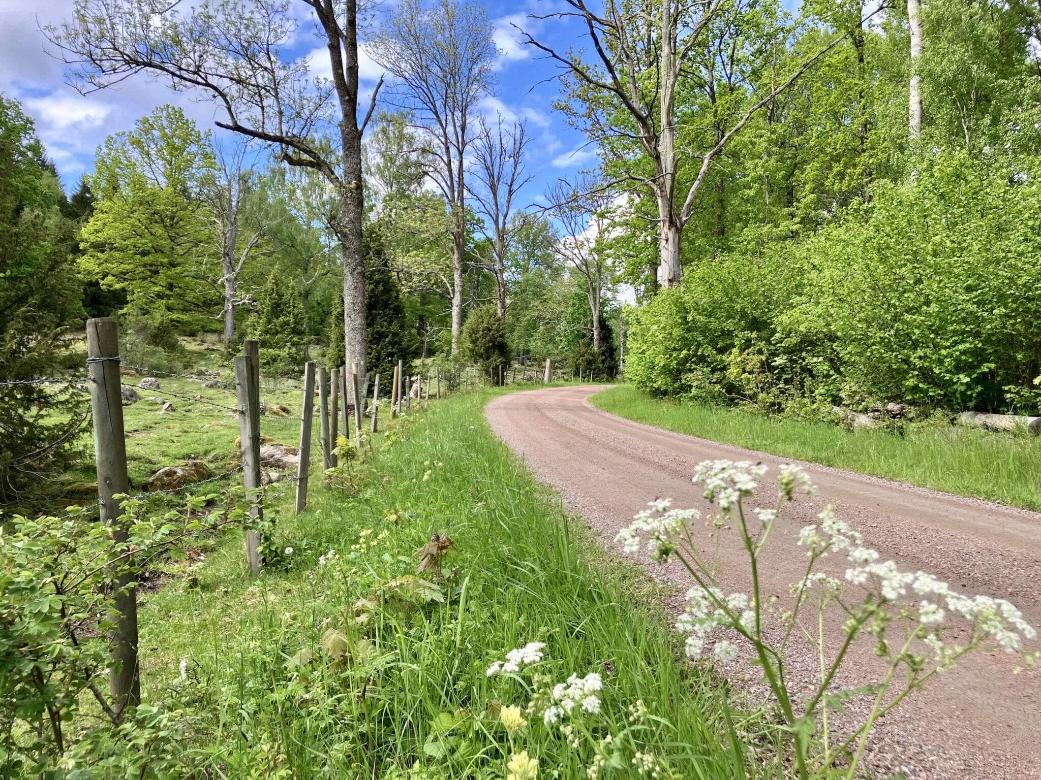 Lidhem Bed & Breakfast