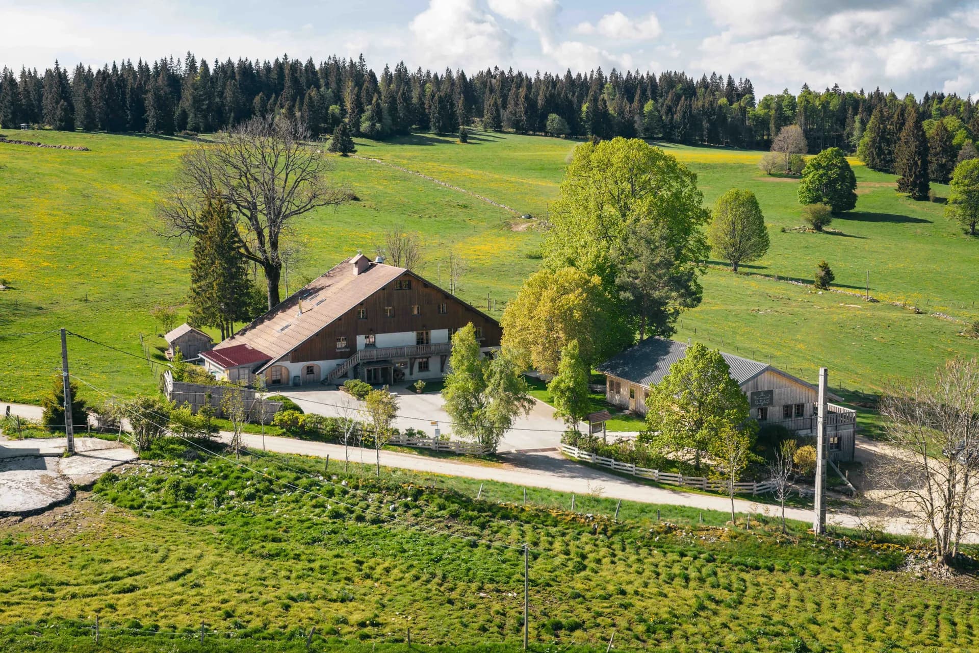 LE TILLAU