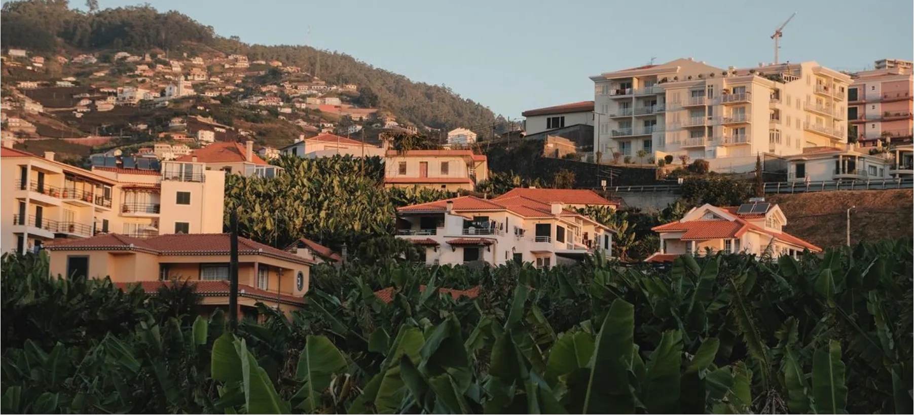 Quinta da Saraiva