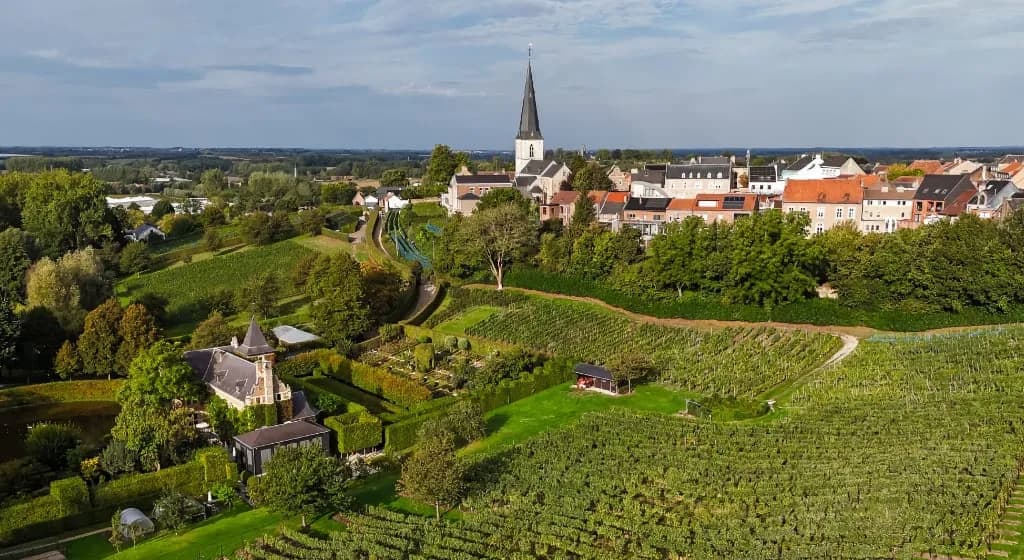 Tongeren-Borgloon