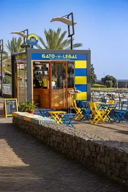 Gato Legal Coffee Roastery Kiosk