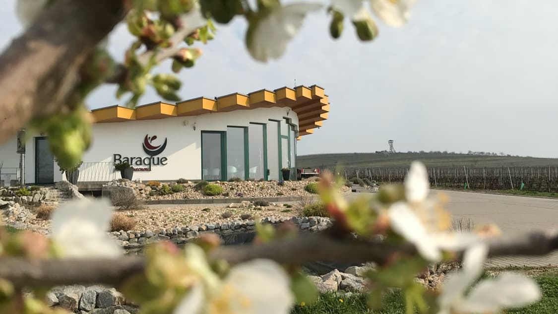 Baraque Wine Gallery