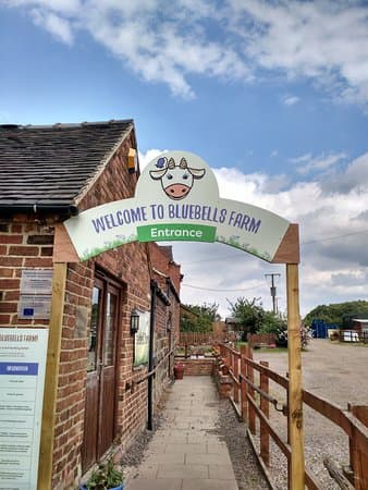 Bluebells Dairy Ice Cream Cafe