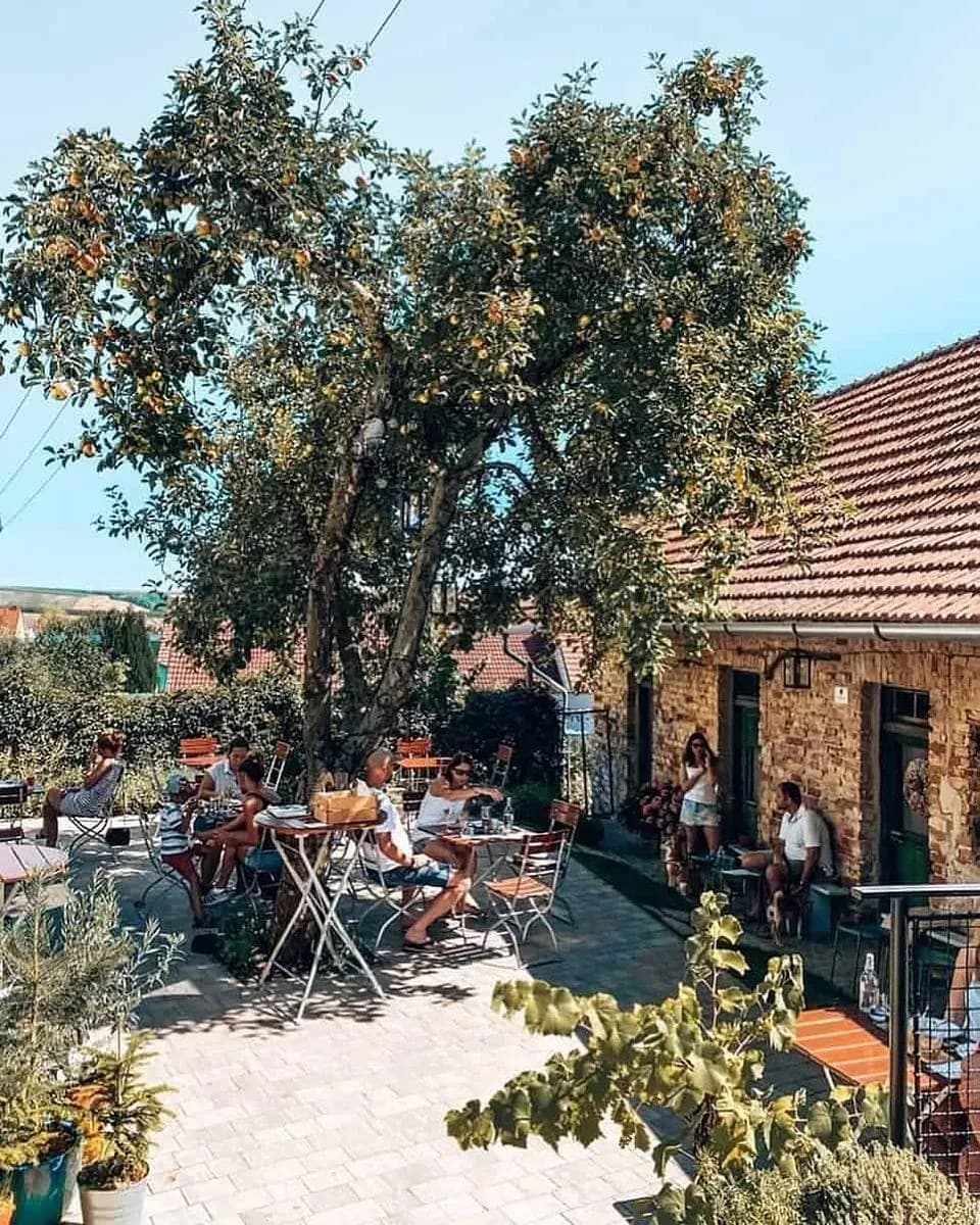 Dvorek Bořetice / cafe wine bistro