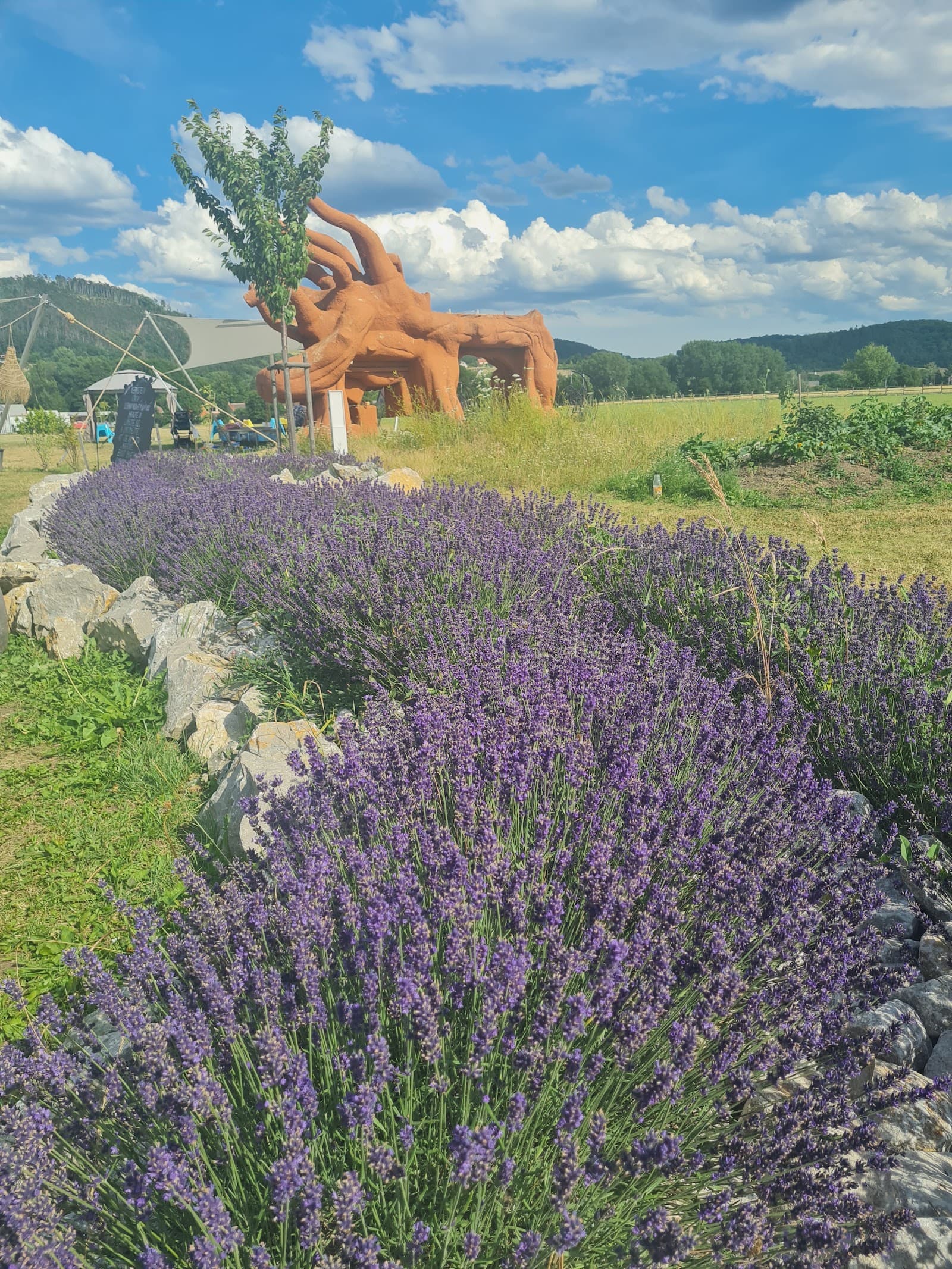 Levandulové údolí - restaurace