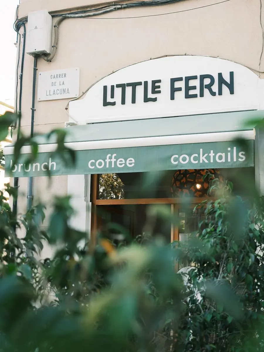 Little Fern