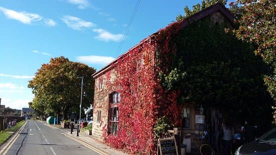 Potters Barn Cafe & Pottery