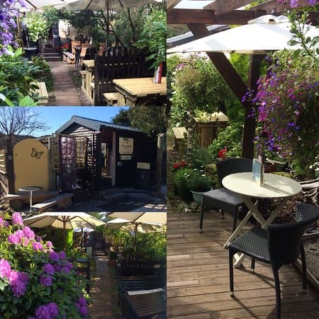 The Secret Tea Garden at Assynt Aromas