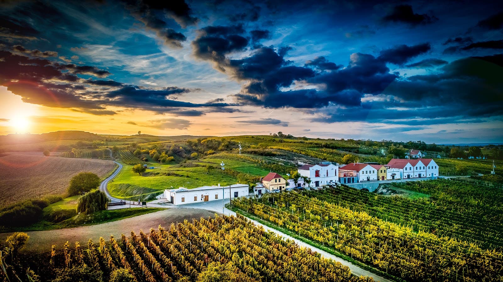 Vinařství Mikrosvín Mikulov, sklepy Dolní Dunajovice