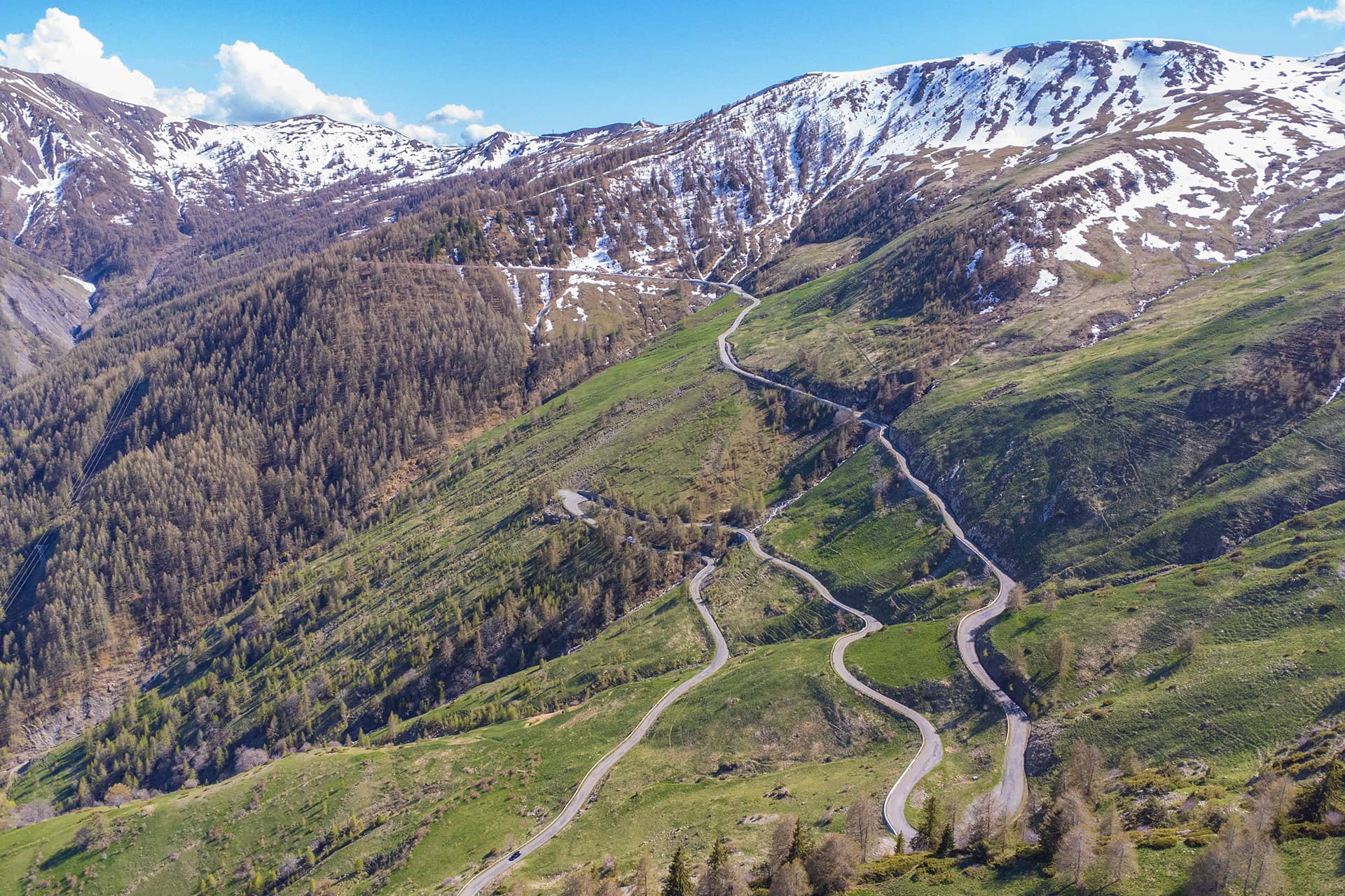 Allos