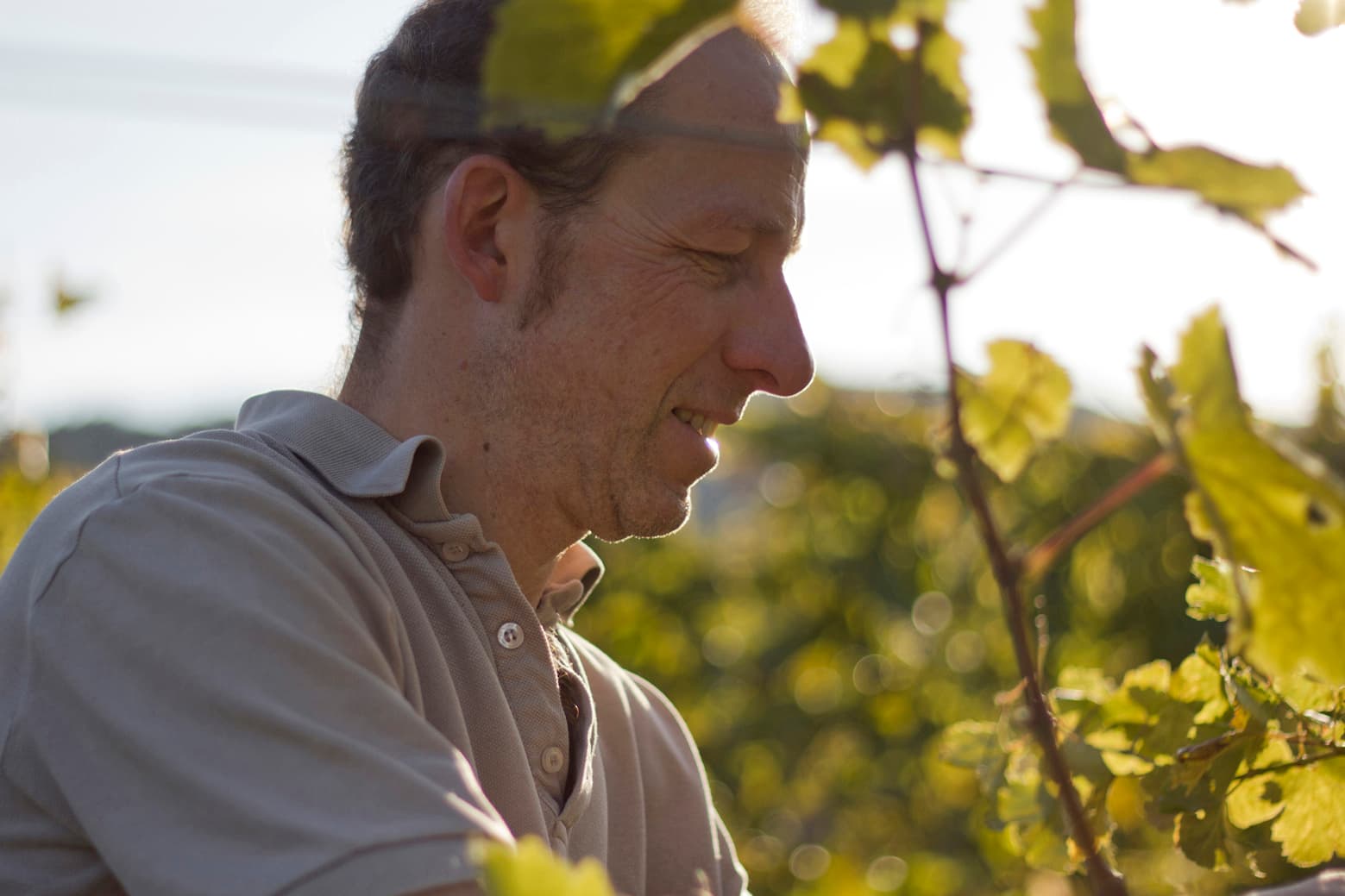 Bio-Weingut & Heuriger Bernhard Plos