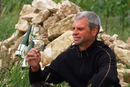 Bio-Weingut Josef Salomon