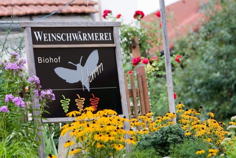 Bio-Weingut und Heurigen Harm