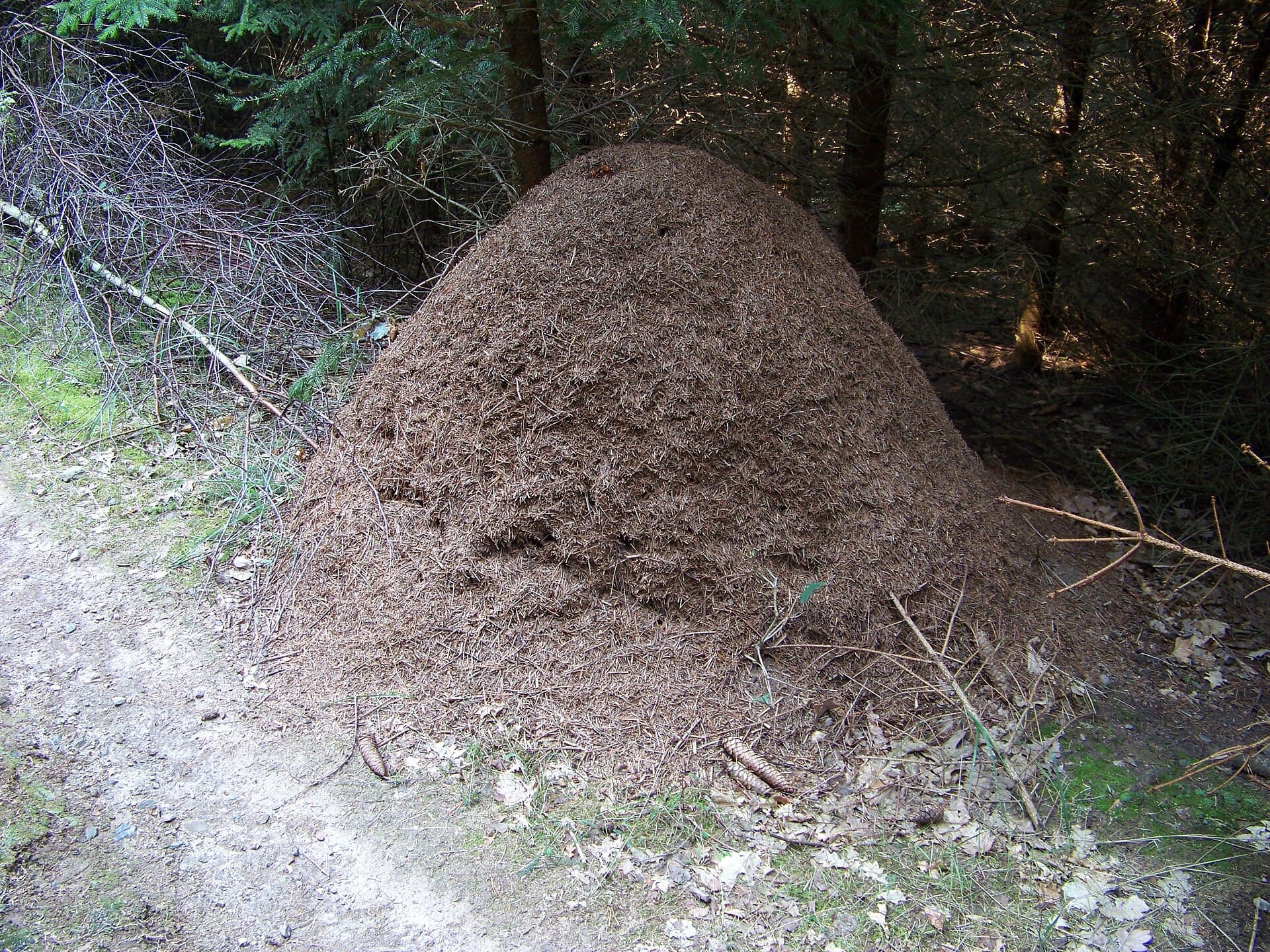 Břežany