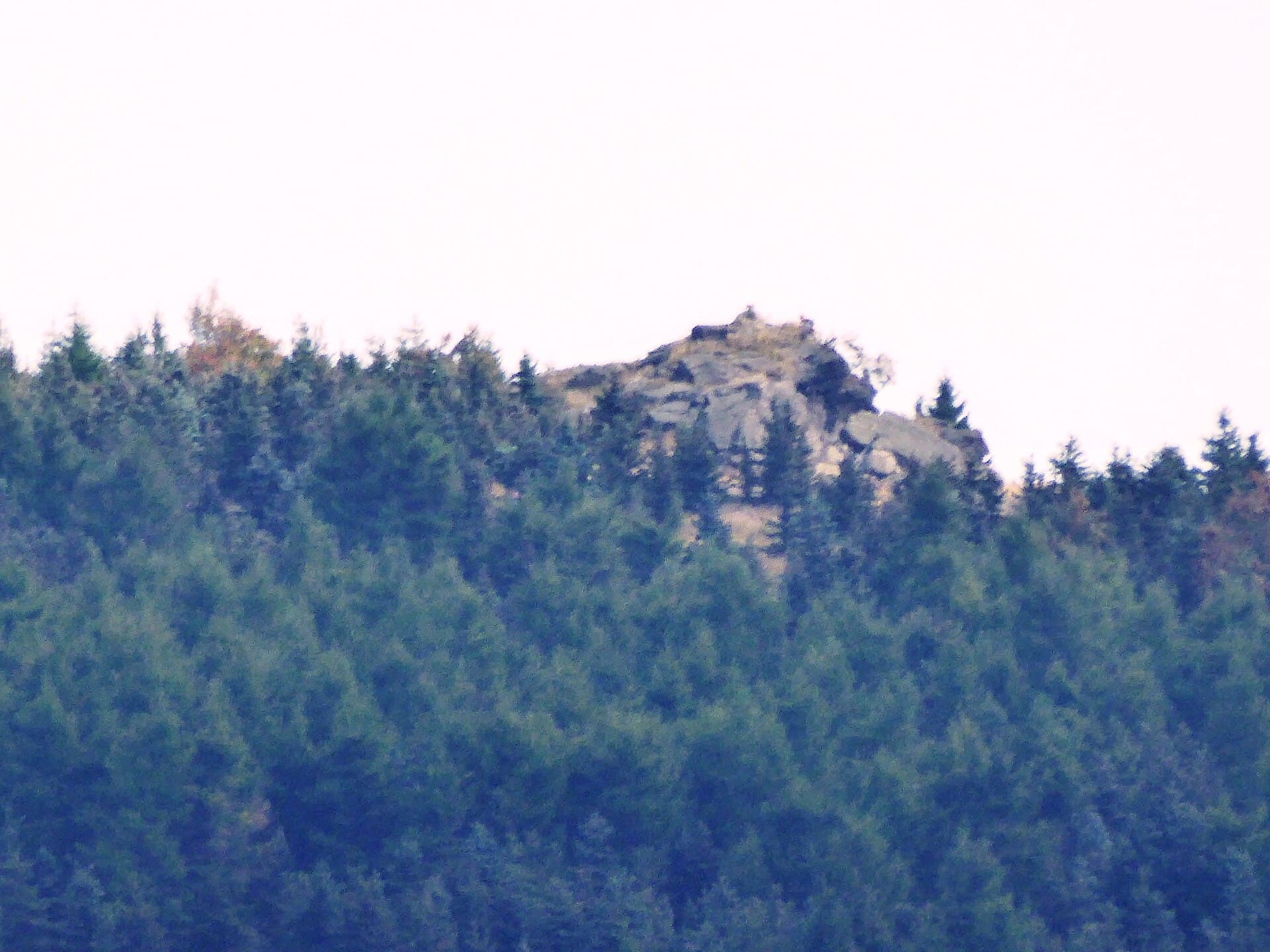 Boleboř