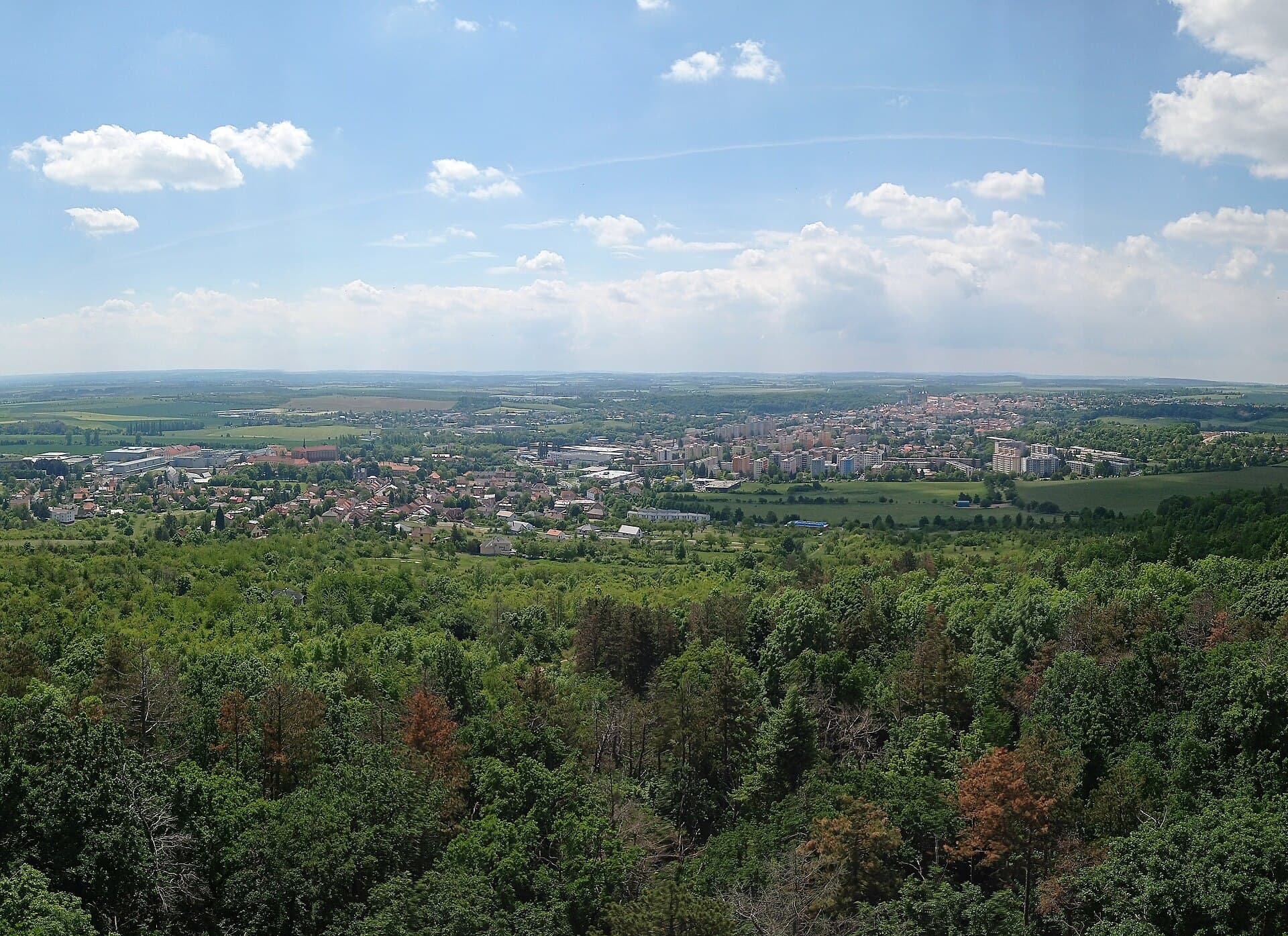Hlízov