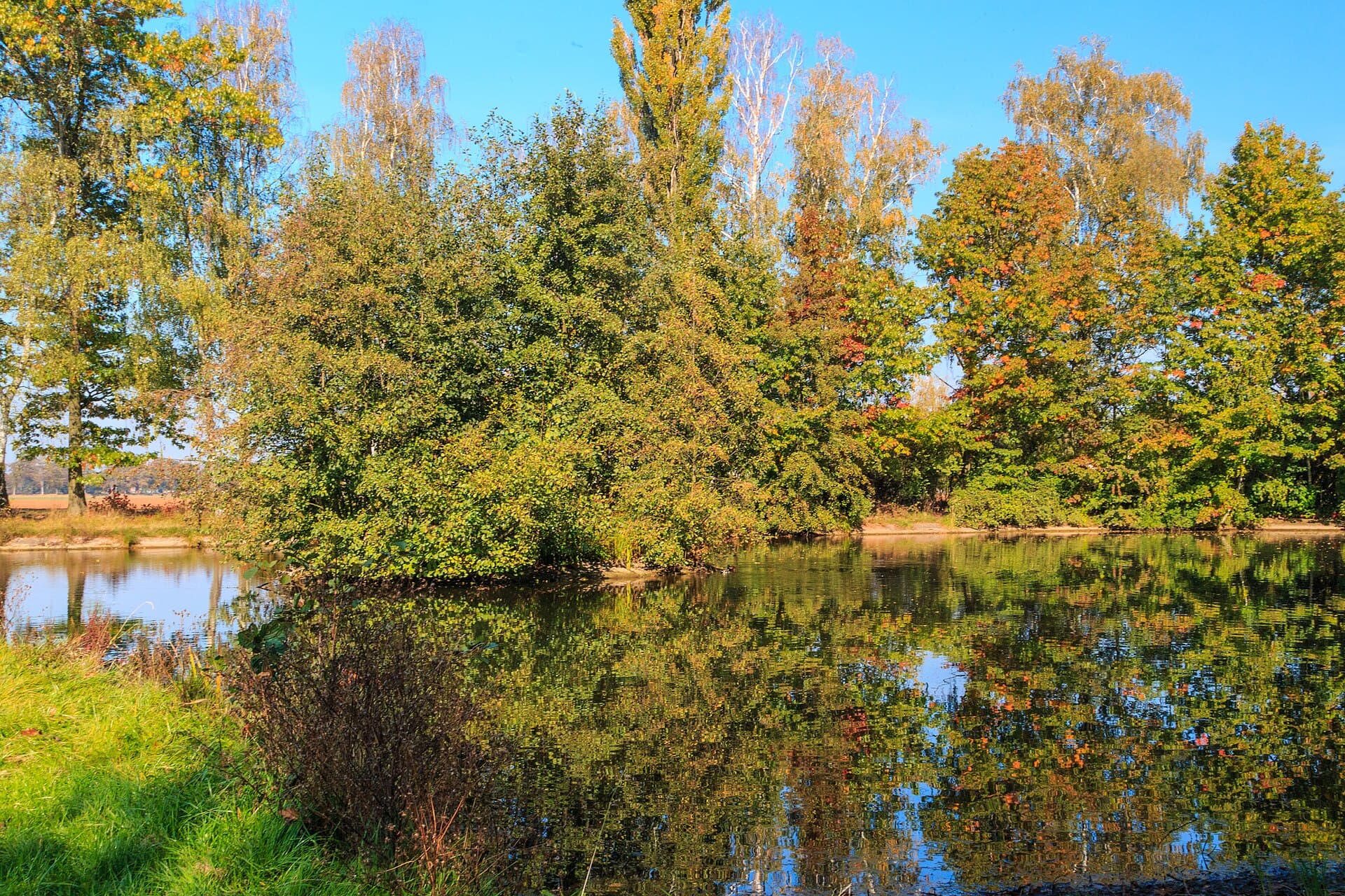 Hradec Králové 7