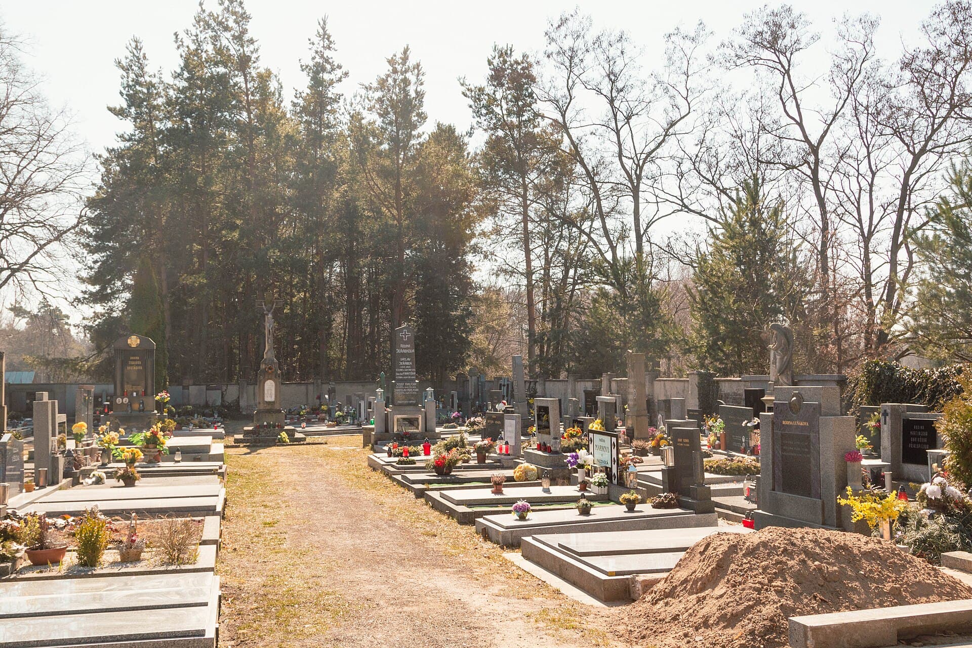 Hradec Králové 9