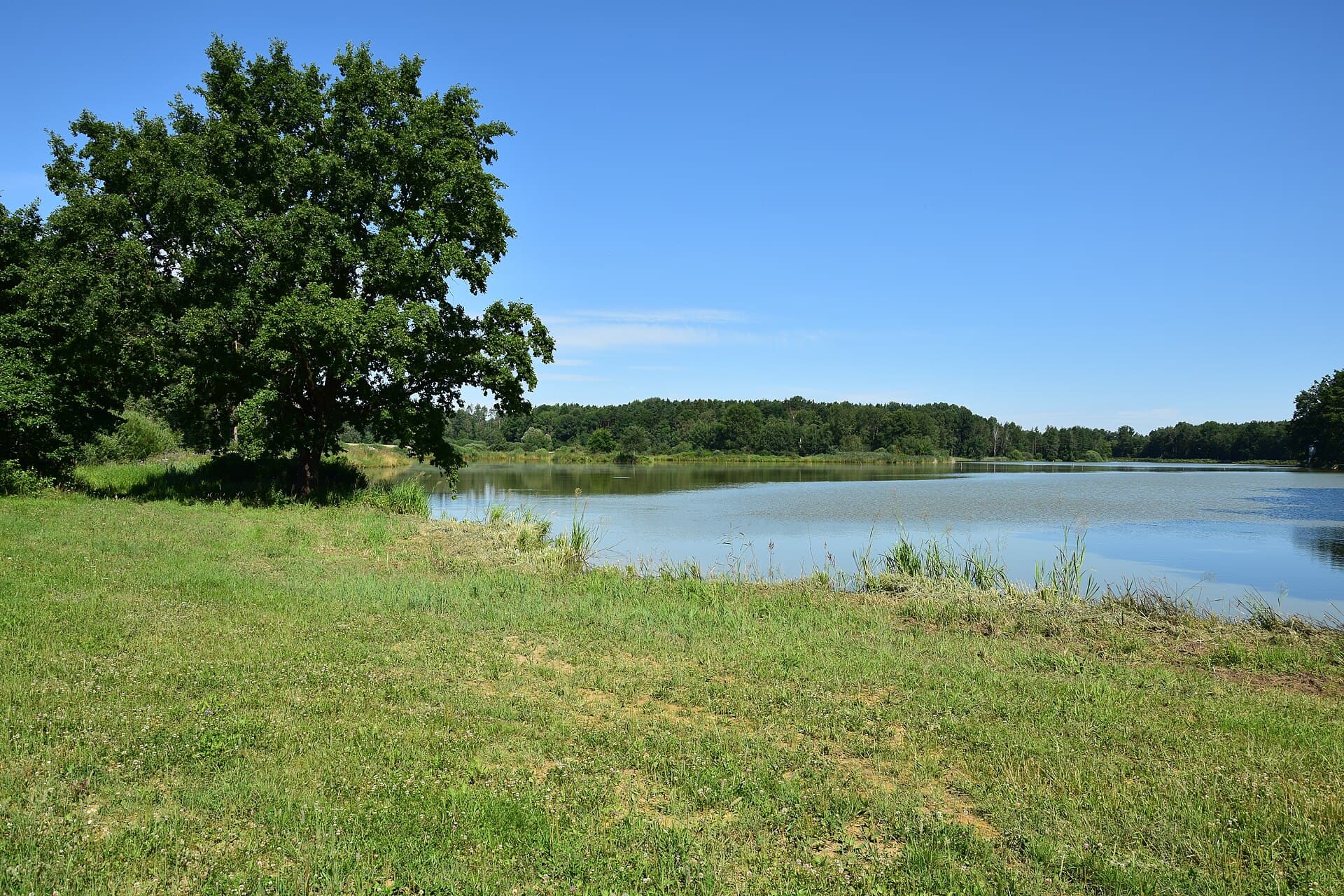 Kardašova Řečice