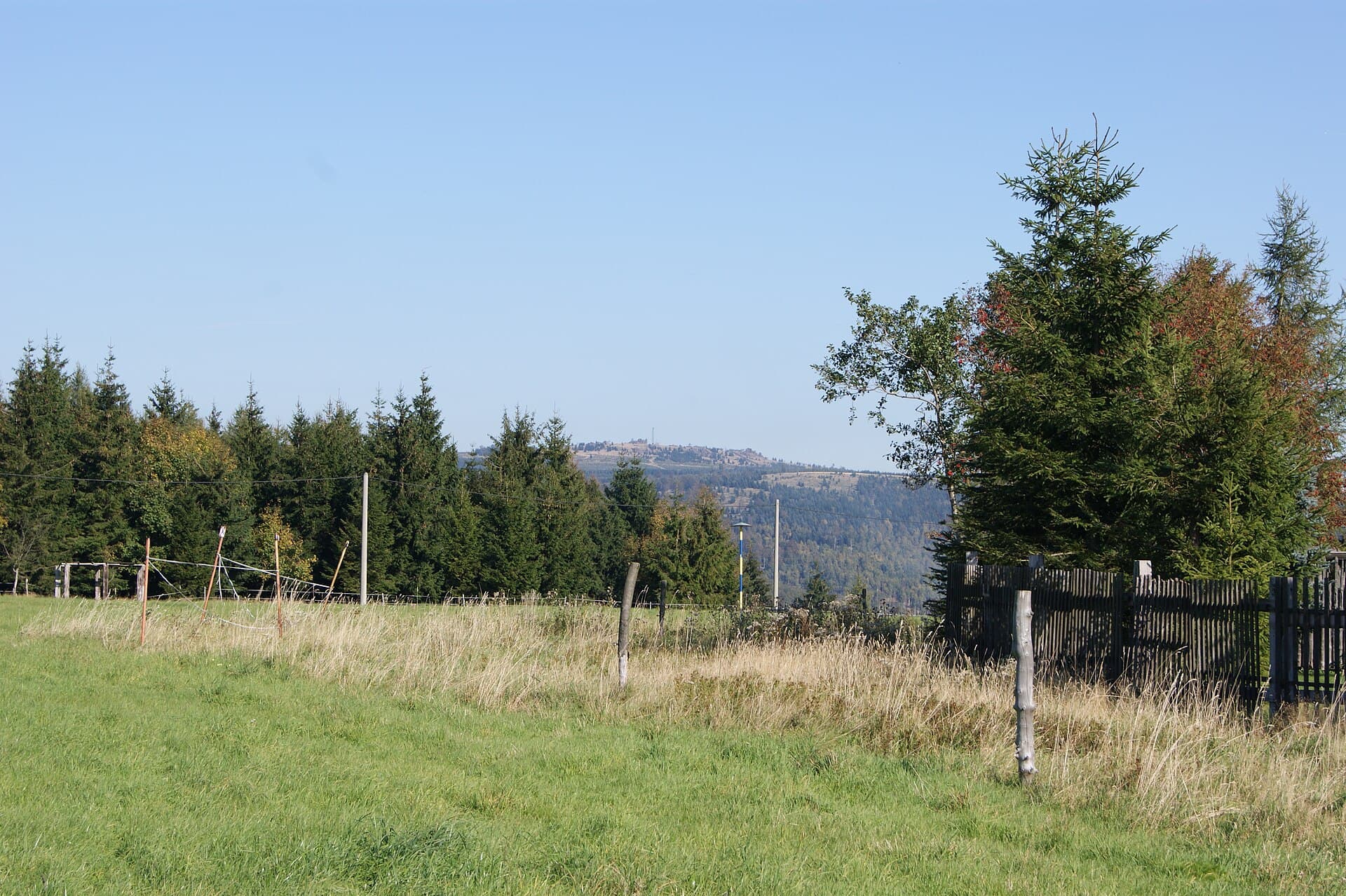 Klíny