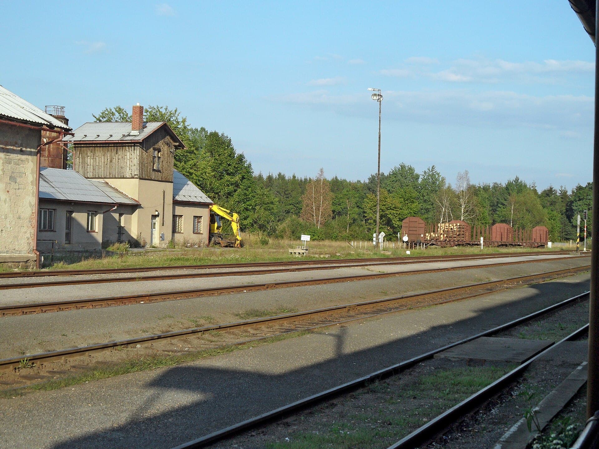 Králíky