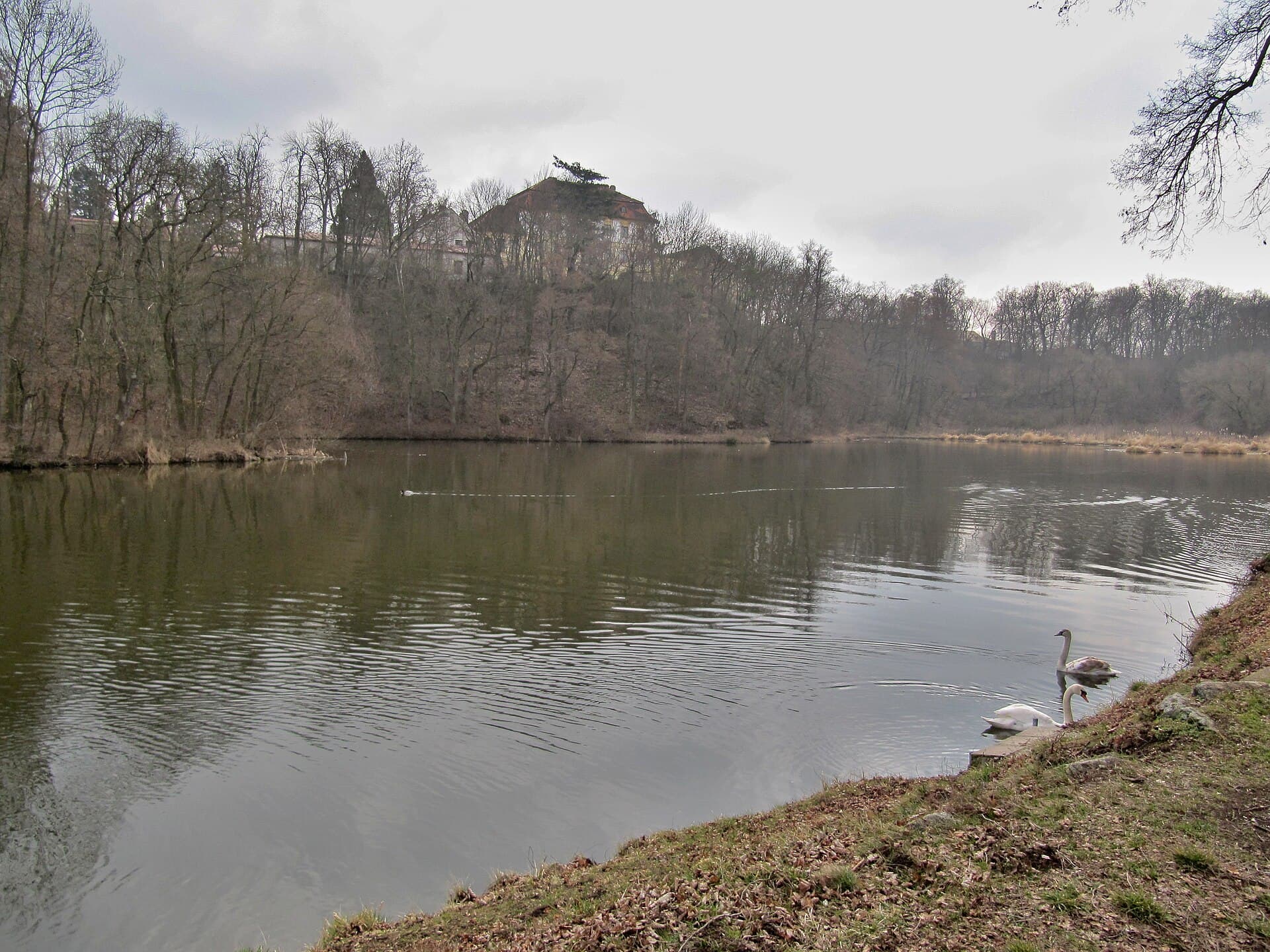 Kravsko