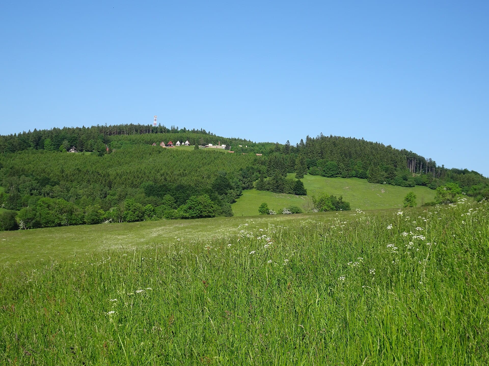 Lopeník